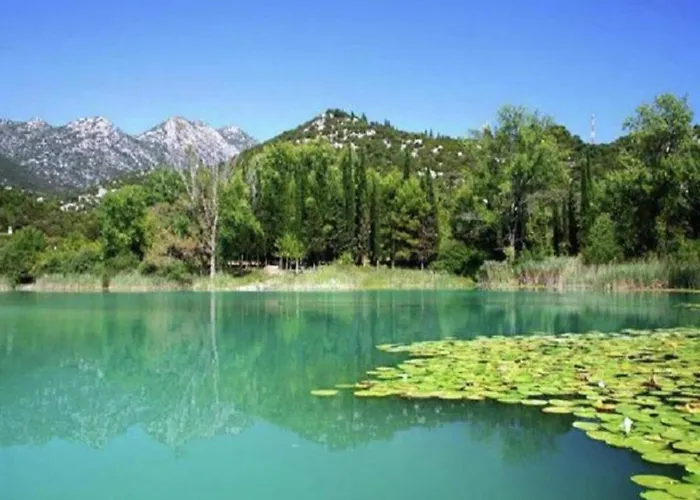 In Croatia Near Adriatic Coast 아파트